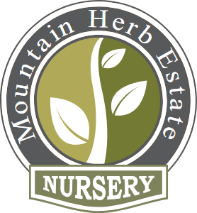 MOUNTAIN HERB
